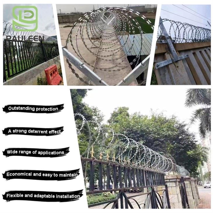 Galvanized Concertina Wire suppliers