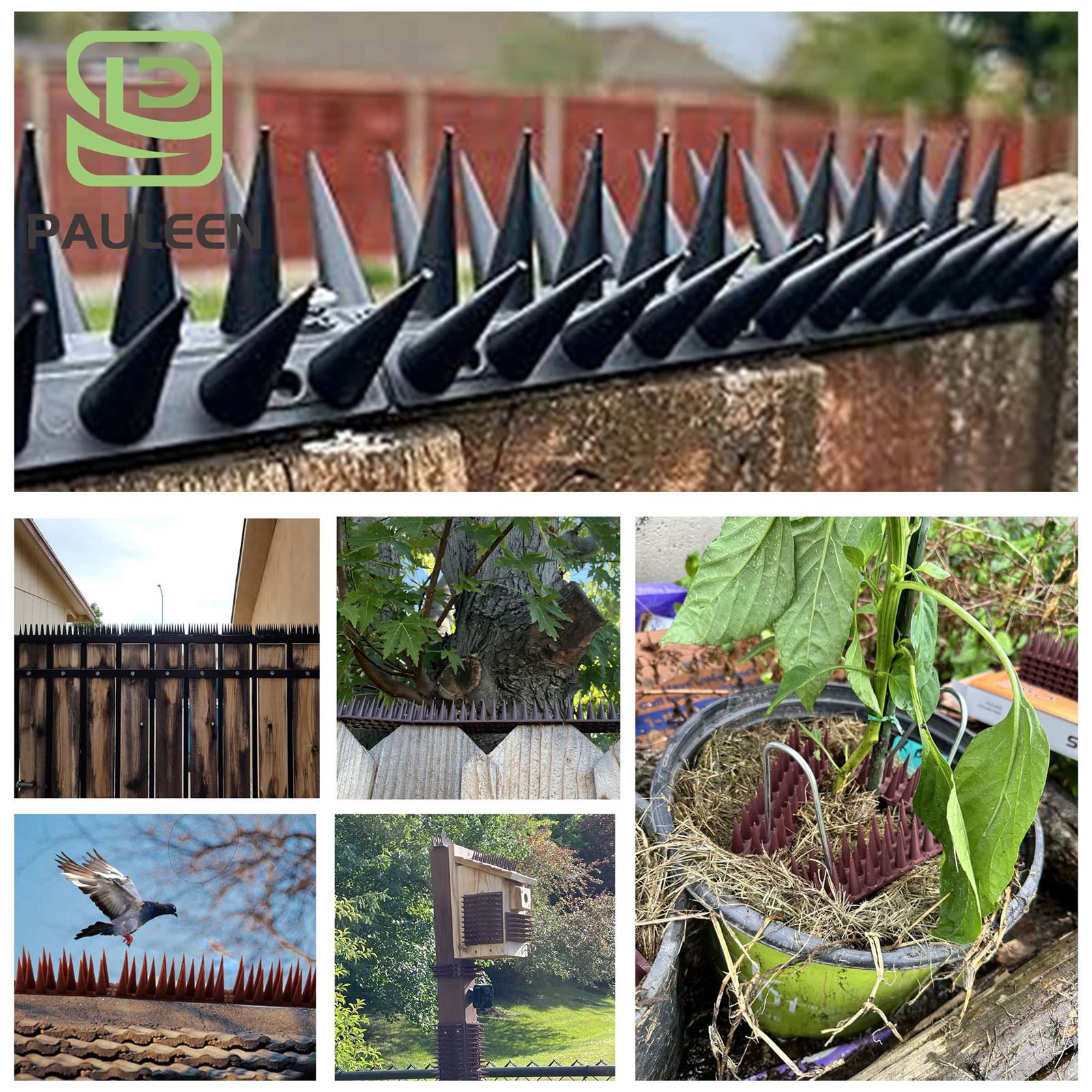 bird Spikes bird Spikes